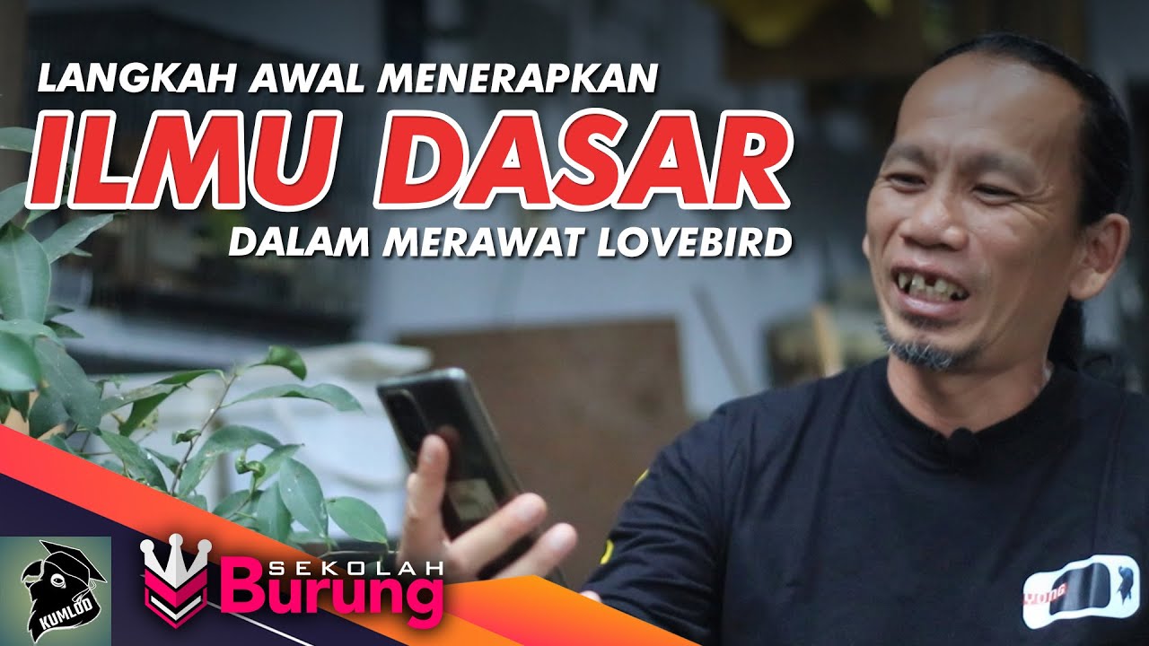 Sekolah Burung #27: Langkah Awal Menerapkan ILmu Dasar Merawat Lovebird di Kumlod