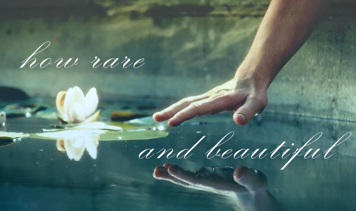 how rare and beautiful | period multicouples