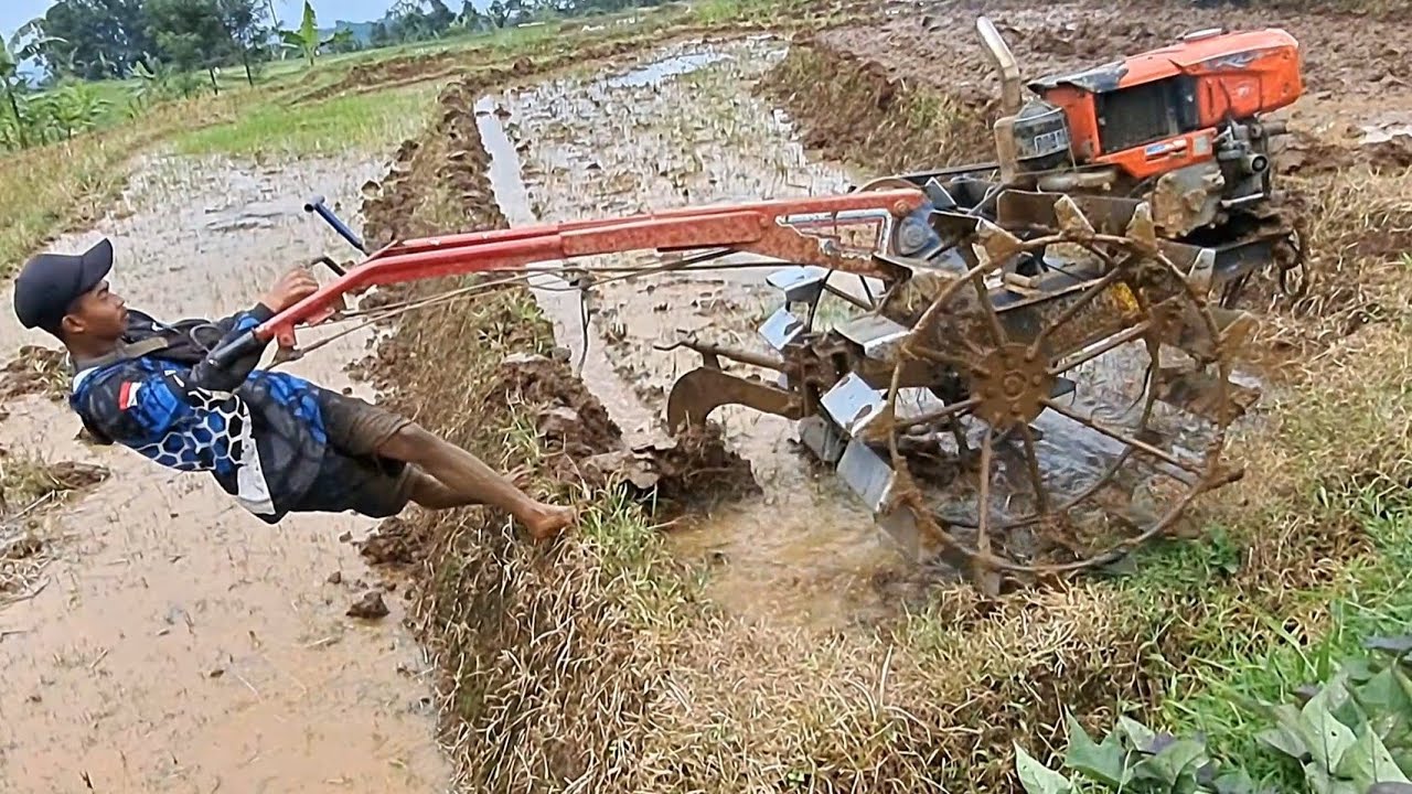 Manuver sambil ngebut saat joki muda mengoprasikan traktor sawah di lahan sempit.
