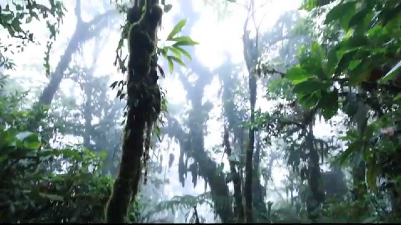 Cerro Chato Volcano Hike