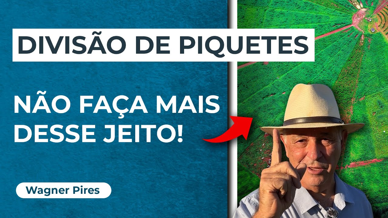 É ASSIM que se faz a DIVISÃO CORRETA de PIQUETES no seu PASTO