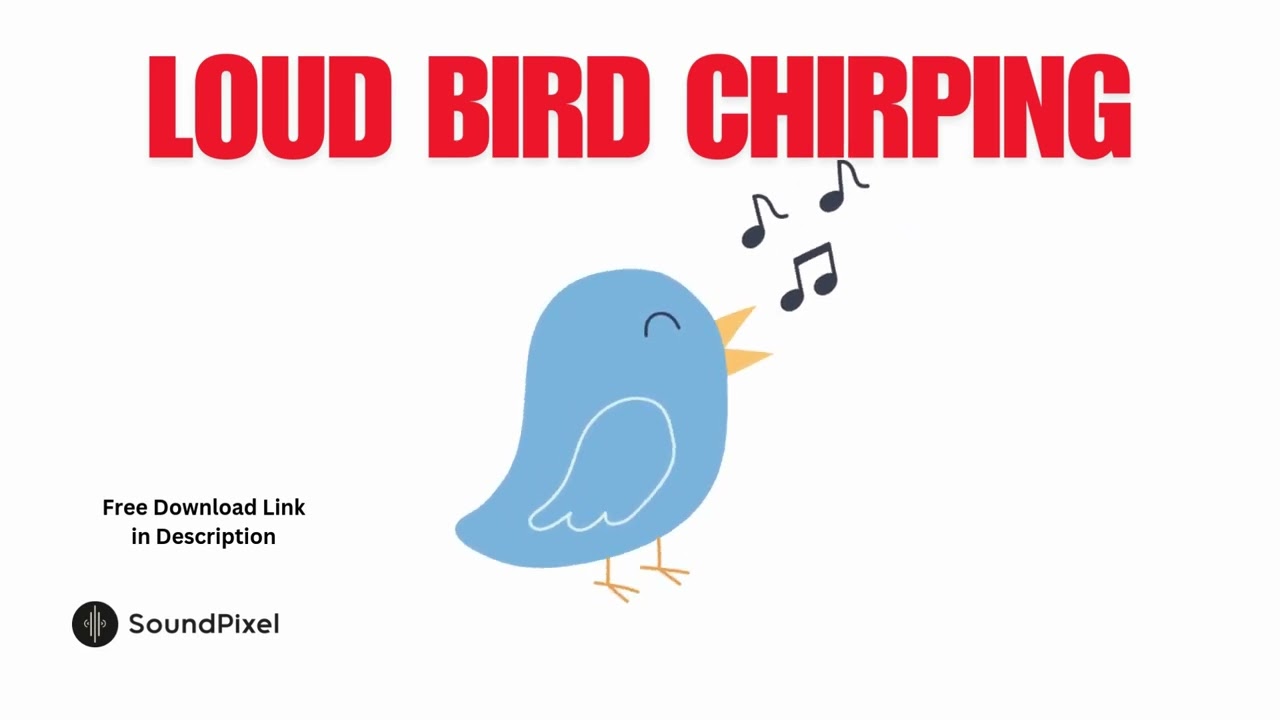 Loud Bird Call Chirping Sound Effect | Free Download Copyright Free