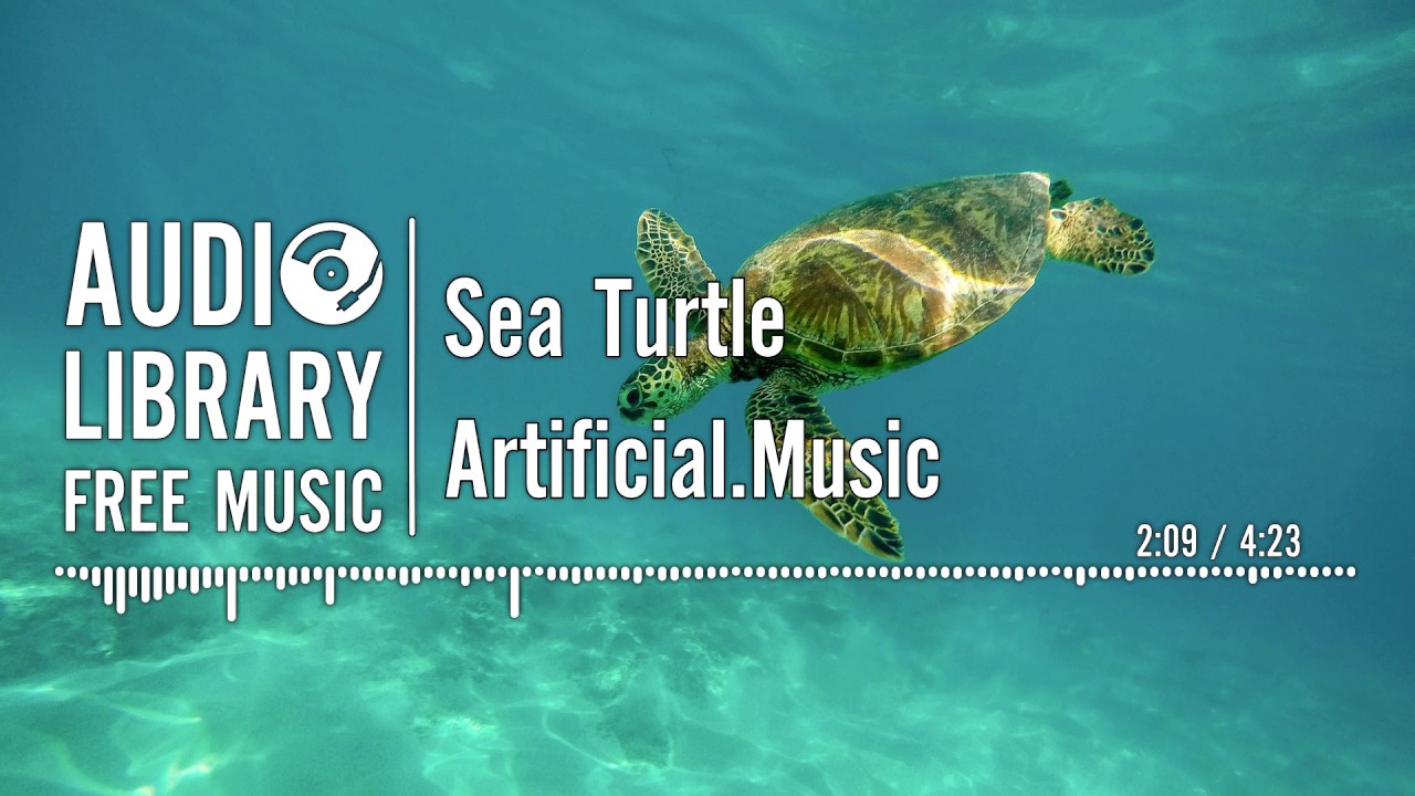 Sea Turtle - Artificial.Music