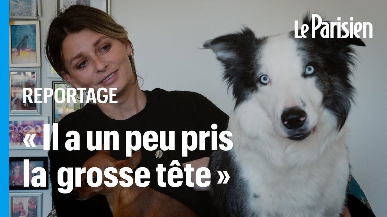 Laura revient sur l'incroyable destin de son chien Messi, star des Oscars
