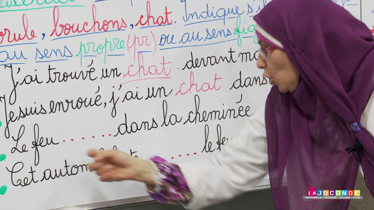 2 AEP   le sens propre et le sens figuré MAJUSCULE SCHOOL ACADEMY