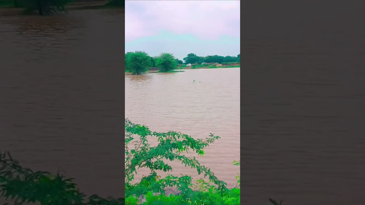 desi village video desi song village live Tejaji Maharaj live  Desi song gaav nadi me