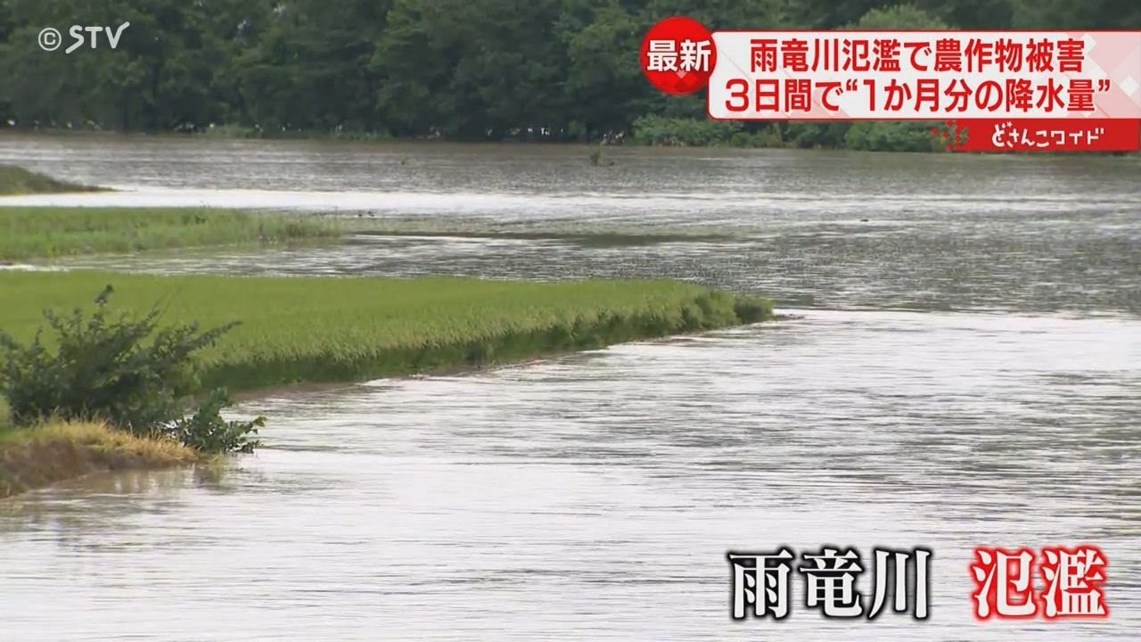 ソバ畑が被害　雨竜川が氾濫　８月の１か月分の雨量超える記録的な大雨に　北海道
