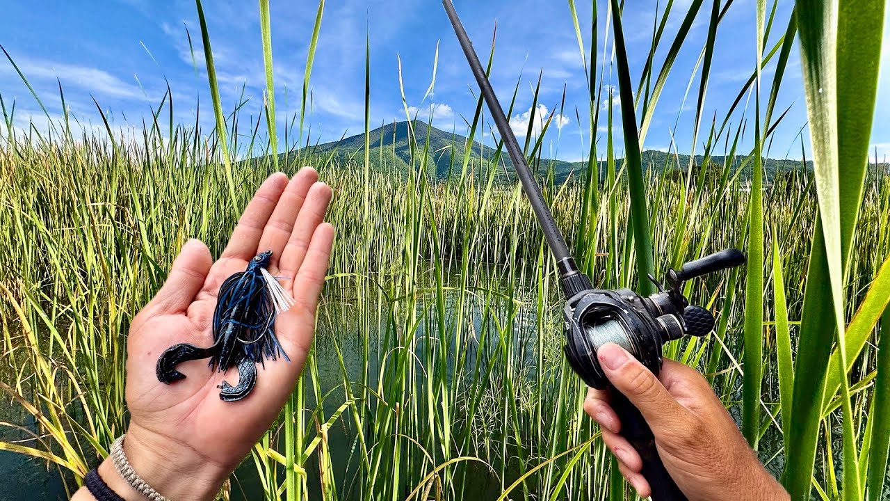 Encontré un Lugar Infestado de Lobinas! | Pesca en el Lago de Chapala 