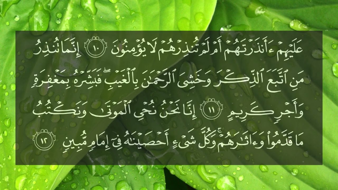 Surah Yasin (Yaseen) | سوره يس | Saad Al ghamdi | سعد الغامدي |