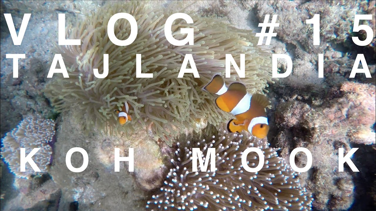 Vlog #15 | Koh Mook | Tajlandia