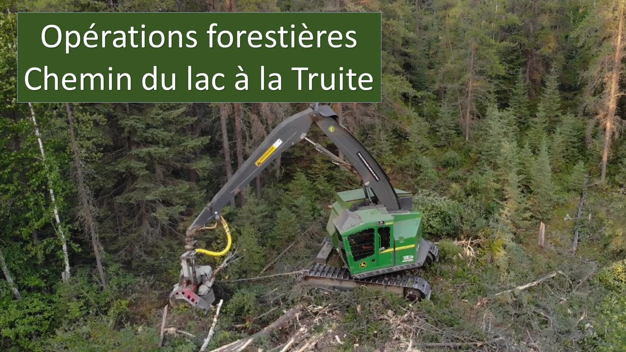 Opérations forestières - Chemin du lac à la Truite