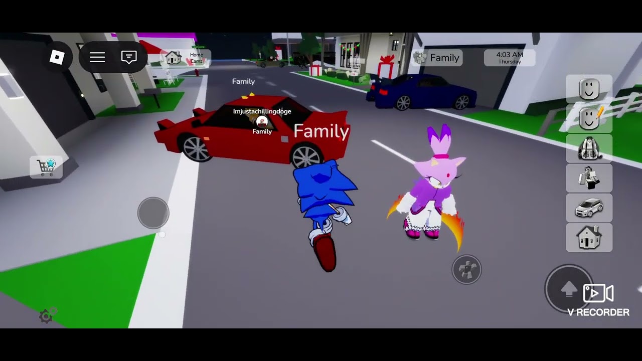 Sonic and tails on Roblox