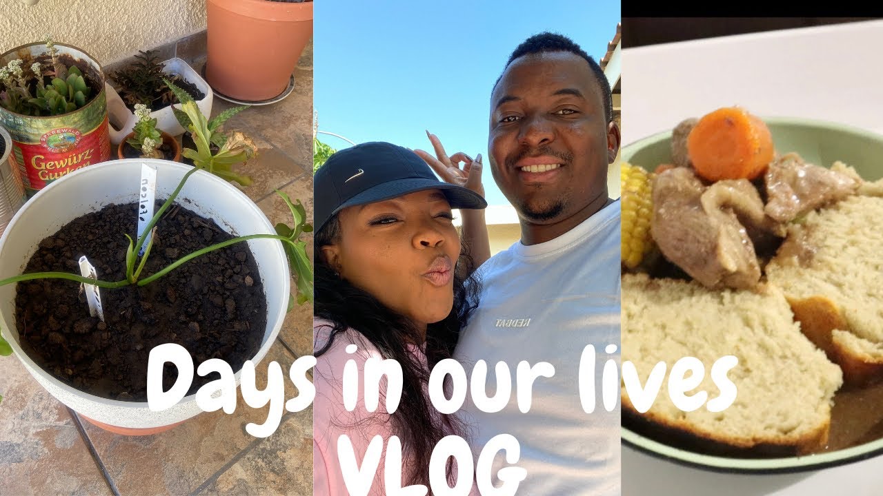 We are Struggling Plant Parents, Please Help😫| Also, Our Toddler started School