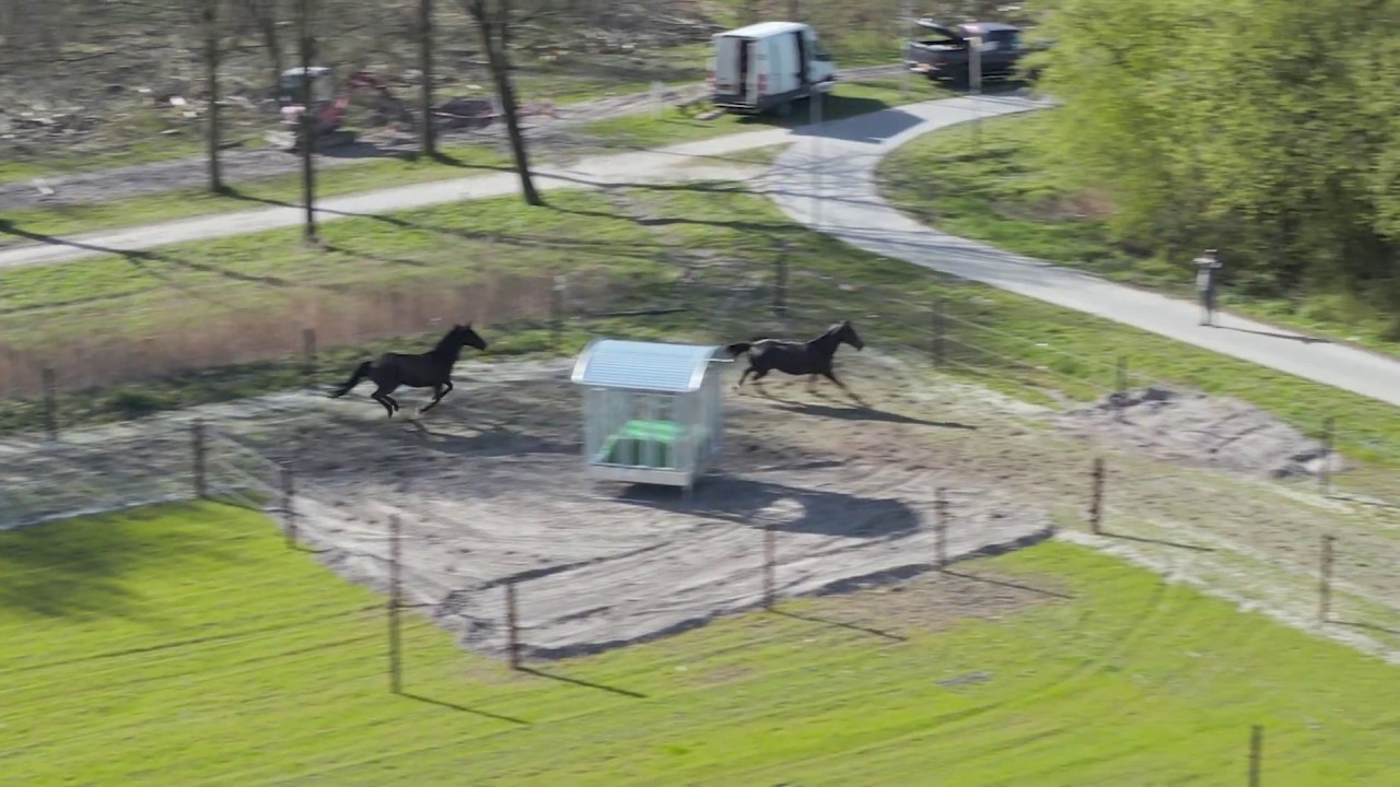 AHC Paddock Paradise