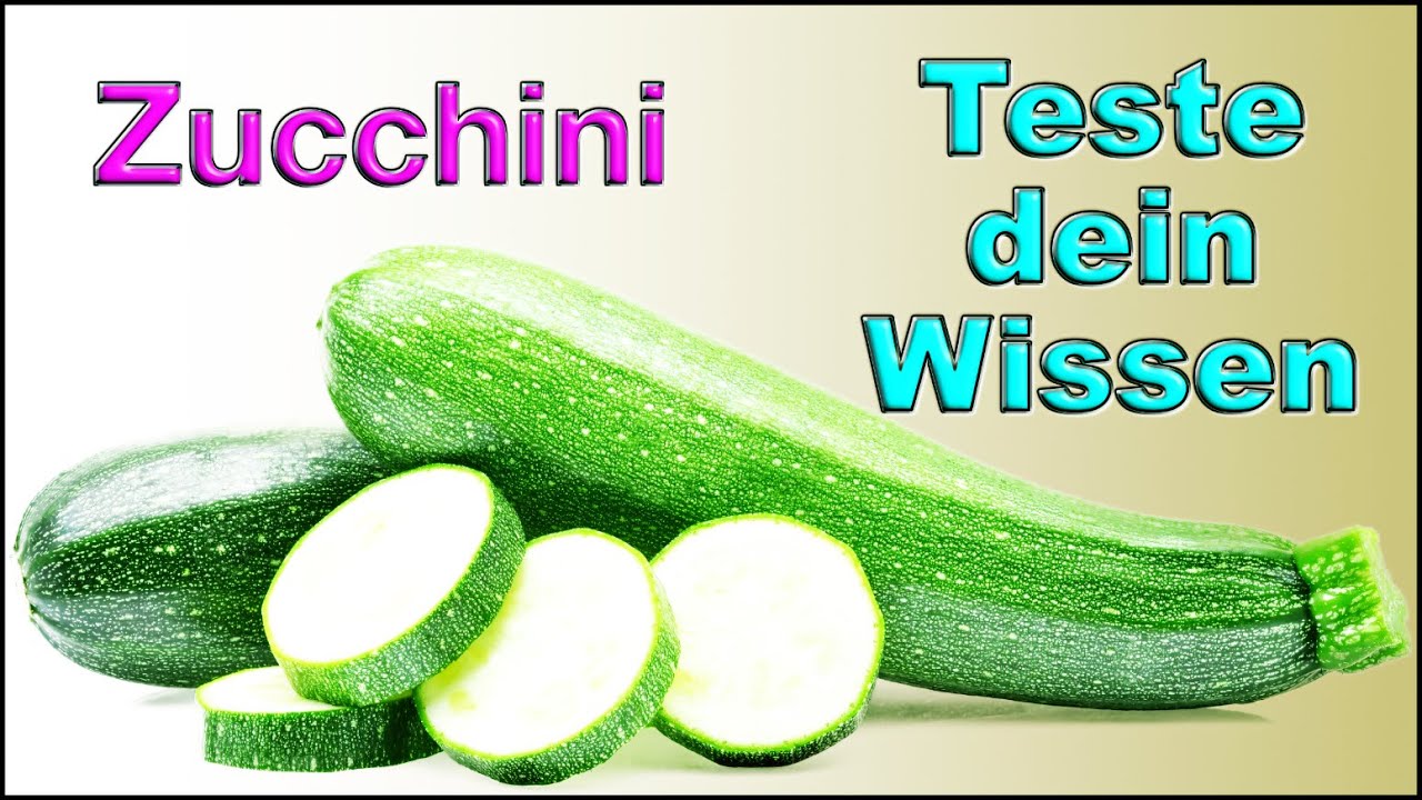 Zucchini - Wissensspiel! Wusstest du das? Wenn nicht, rate! Wissenstest!