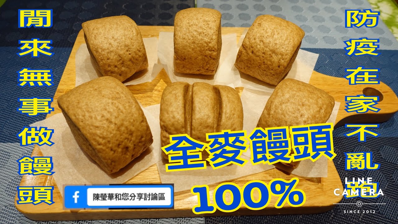 全麥饅頭 (無添加中筋麵粉) 做法 手工饅頭 whole wheat flour steamed bread 全粒粉蒸しパン（中力粉無添加）