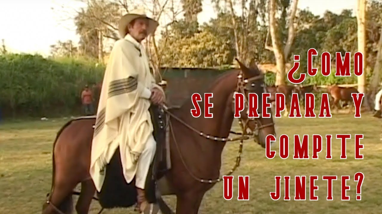 ¿Cómo preparar al Caballo Peruano de Paso justo antes de entrar a competencia?