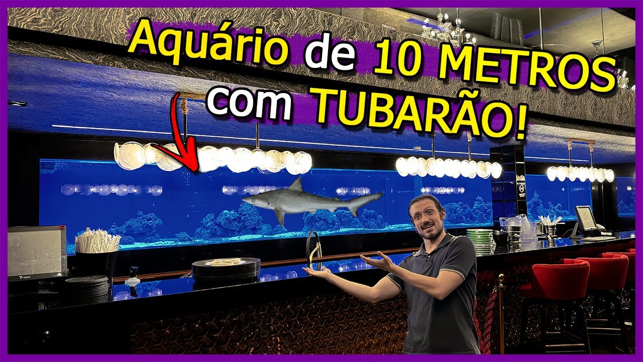 Visitei um Aquário de 10 METROS de TUBARÃO!