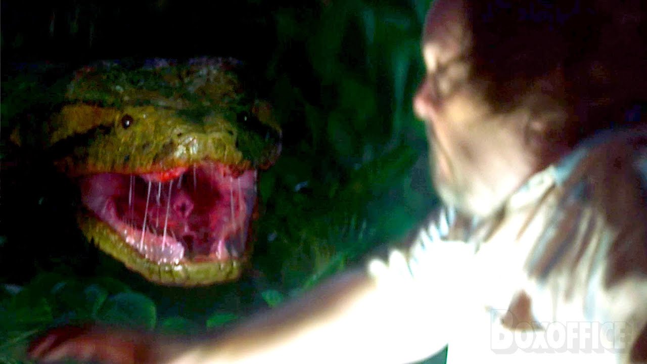 La troupe viene cacciata da una gigantesca Anaconda | Anaconda (2025) | Clip in Italiano