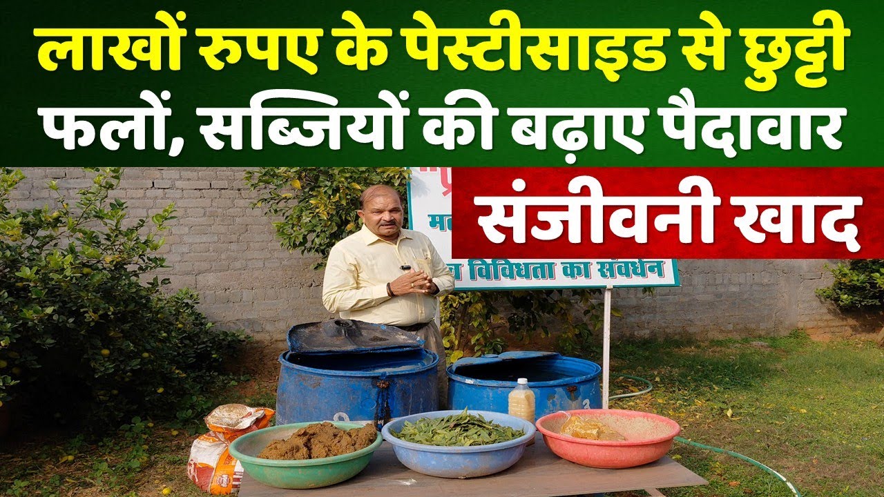 फलों एवं सब्जियों में लाखों का फायदा कराएगी 