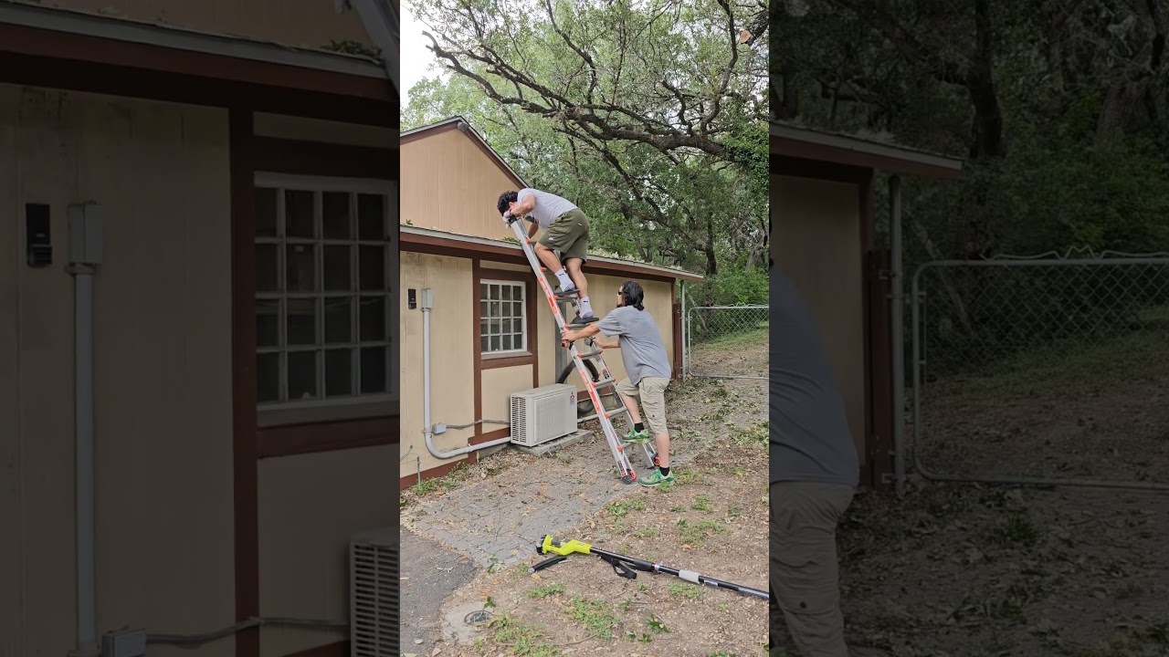 Cutting Limbs Away From the House #themessystudio #treetrimming