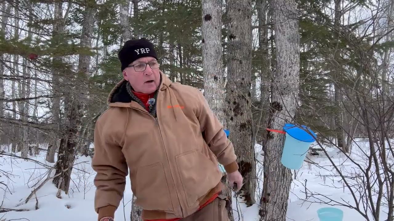 Tapping season has begun.