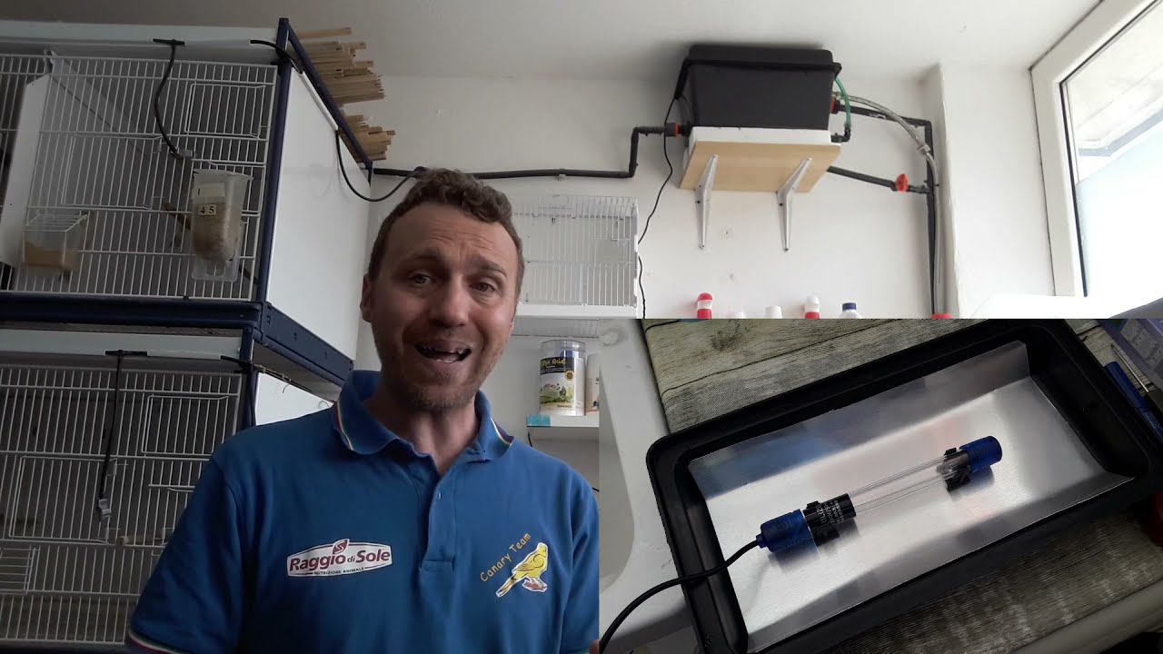 Canary Team - Impianto dell'acqua, manutenzione e migliorie