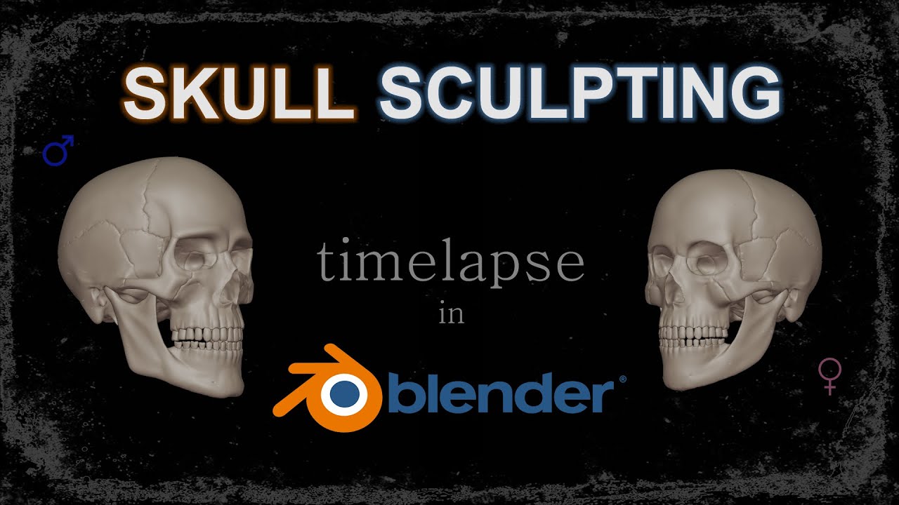 "Human Skull" Sculpting in Blender / Timelapse