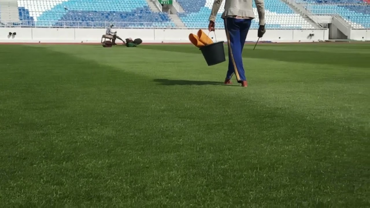 rumput stadion kanjuruhan