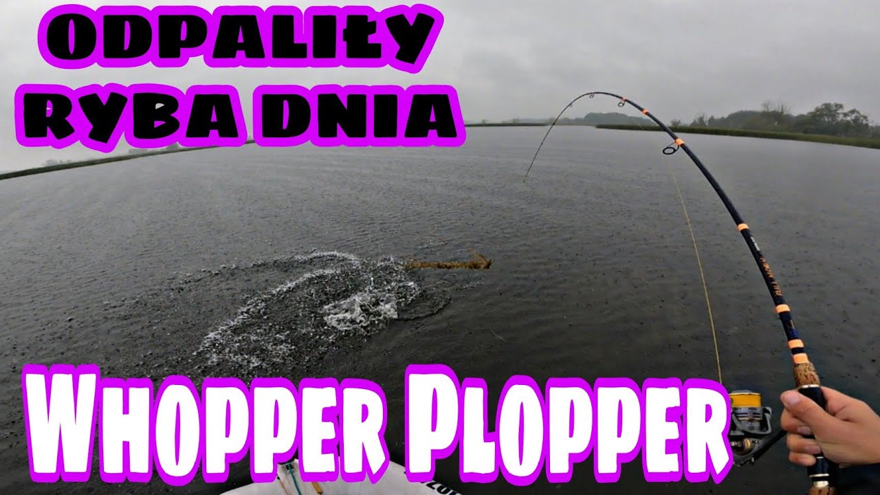 RYBA DNIA  , SZCZUPAKI ODPALIŁY , zbiornik PZW,  WHOPPER PLOPPER   i TWITCHING