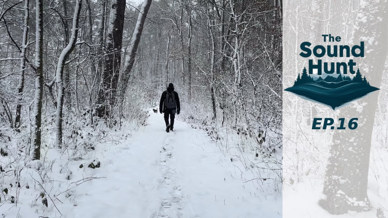 Recording Forest Soundscapes in Winter  | The Sound Hunt Ep.16