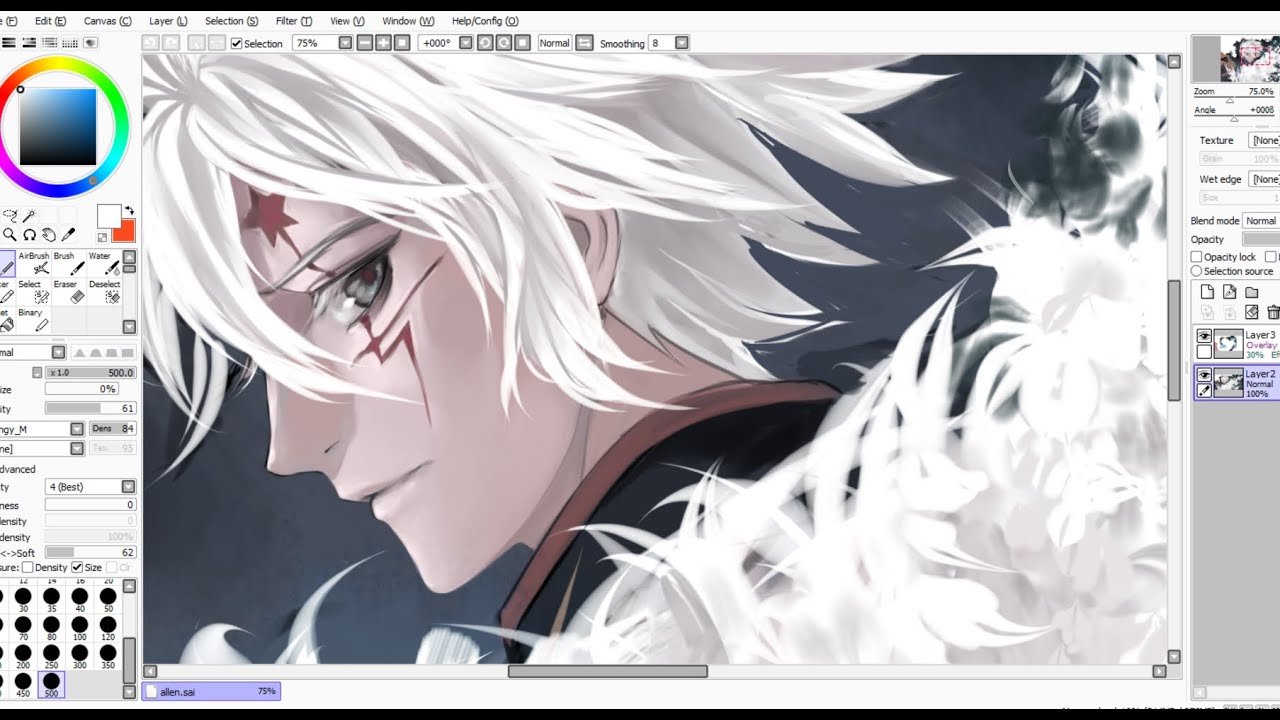 DGM - Allen Walker Speedpaint on SAI
