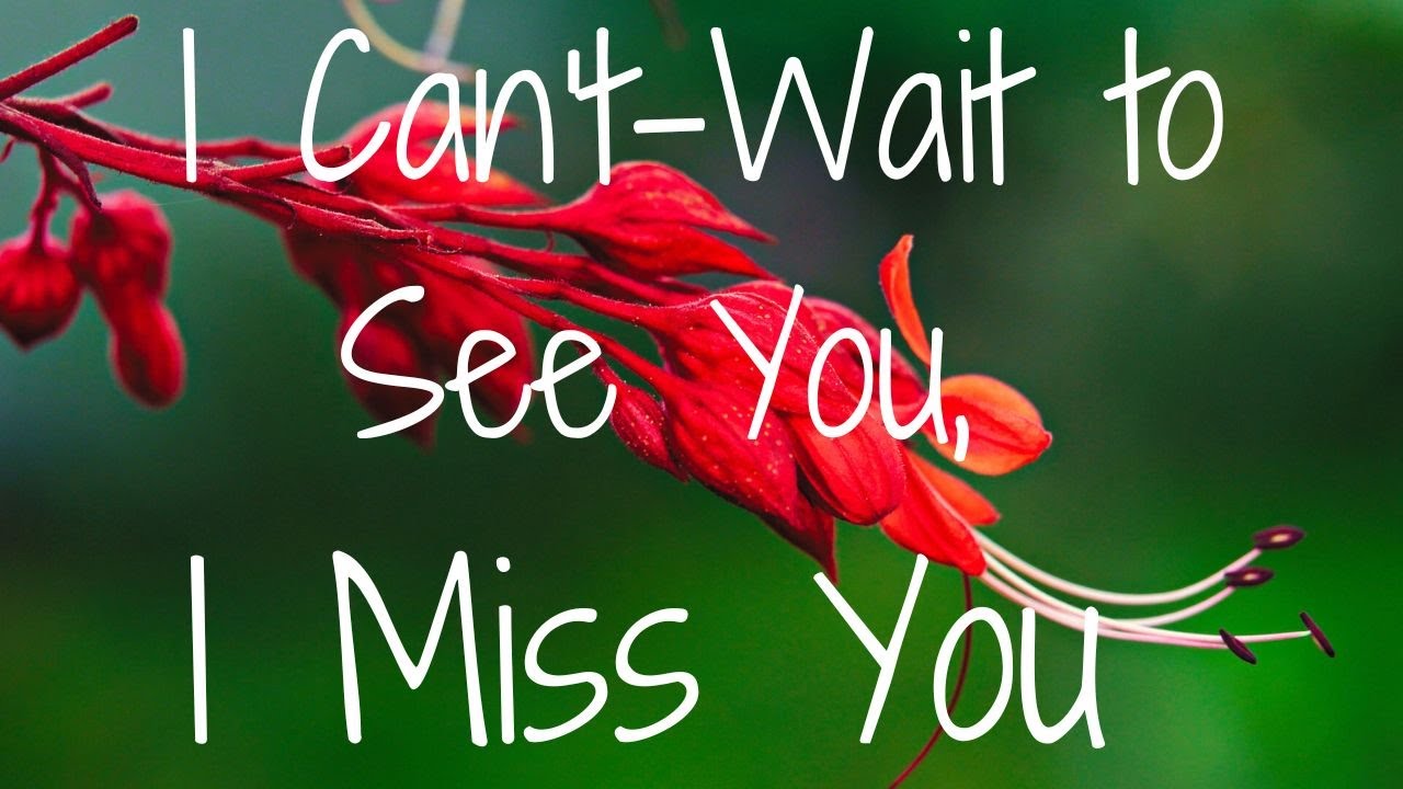 I Can't-Wait to See You, I Miss You