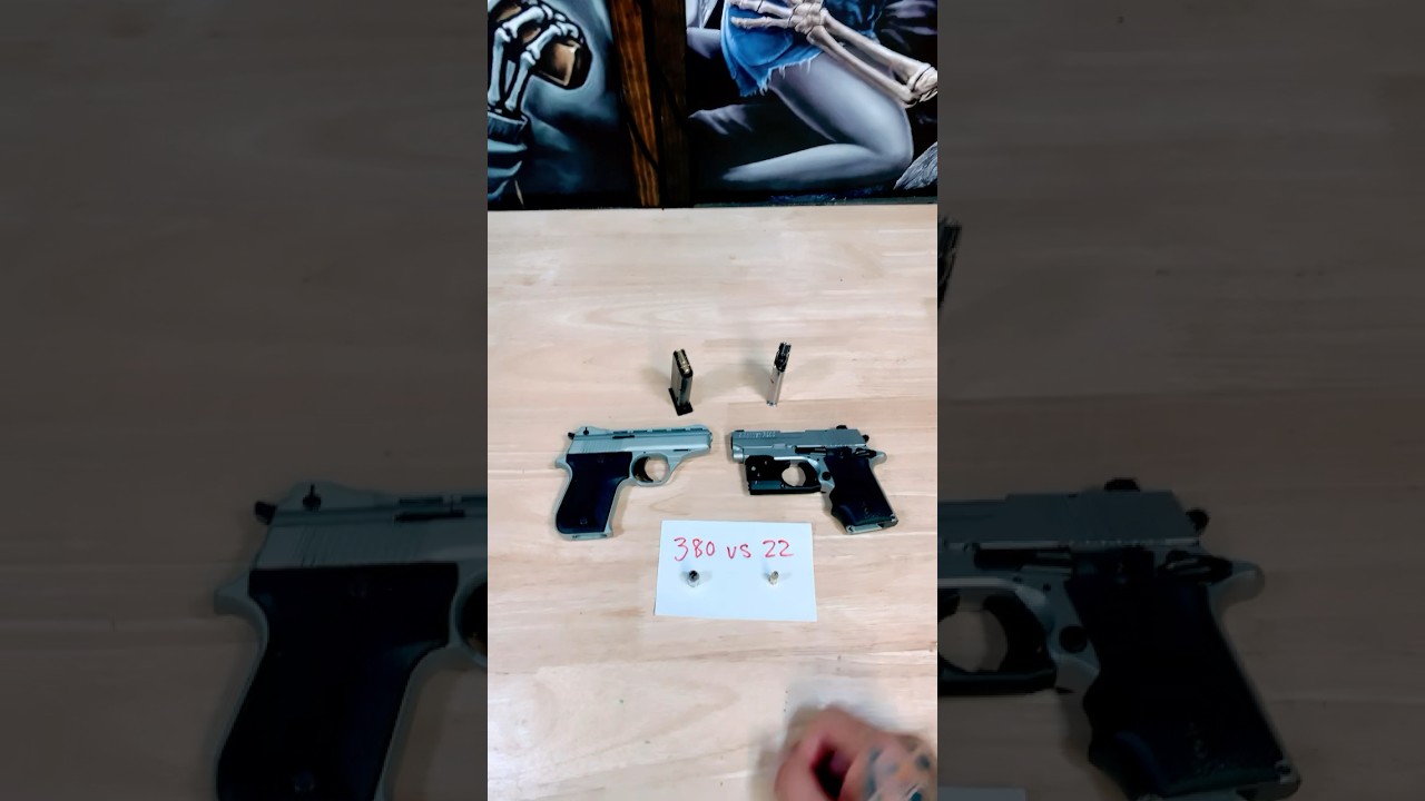 380 vs 22LR for self defense