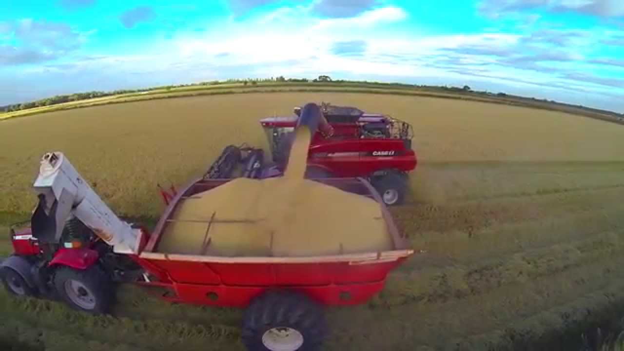1. Meet the Australian Rice Grower