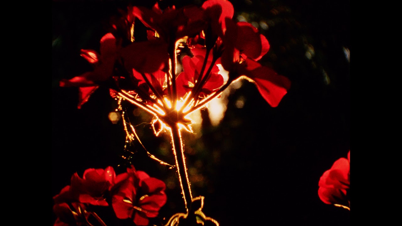 16mm Ektachrome - 4K HDR Scan on the Lasergraphics system -  wSharpening