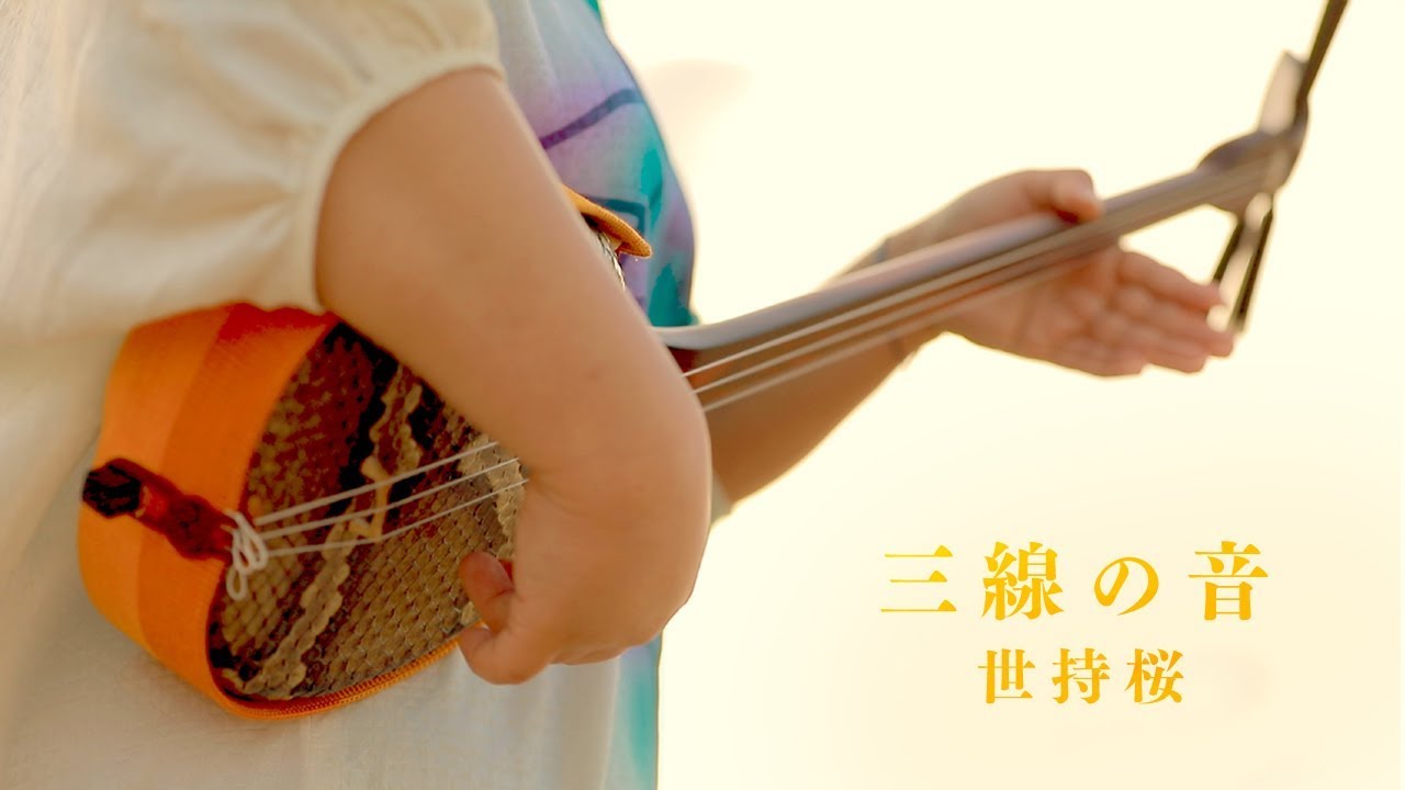 世持桜 - 三線の音【MUSIC VIDEO】