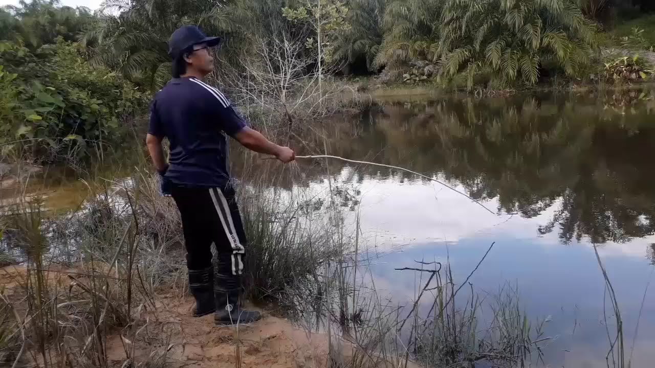 Memancing santai || ASMR