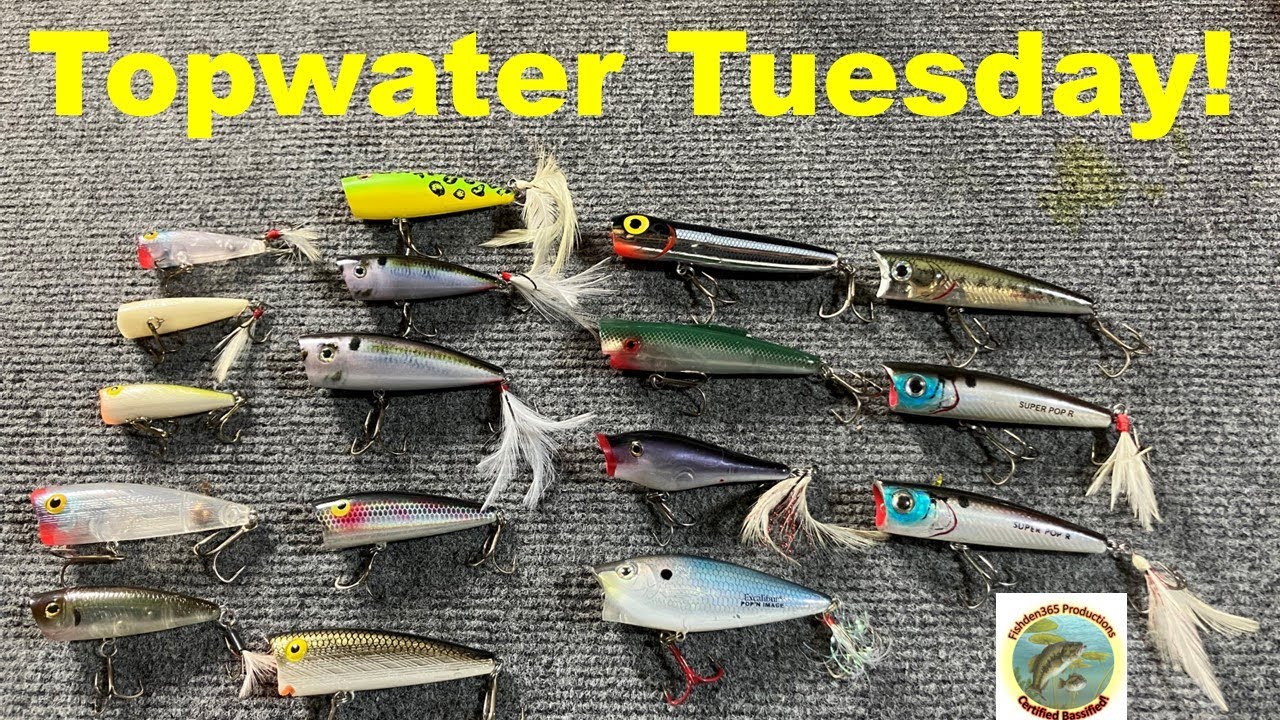 Best Popper Lures For Bass