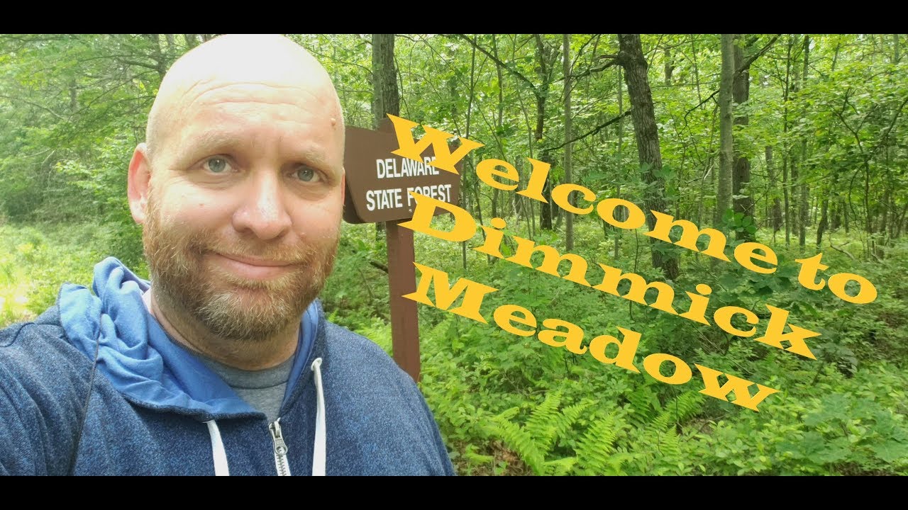 Dimmick Meadow - Delaware State Forest