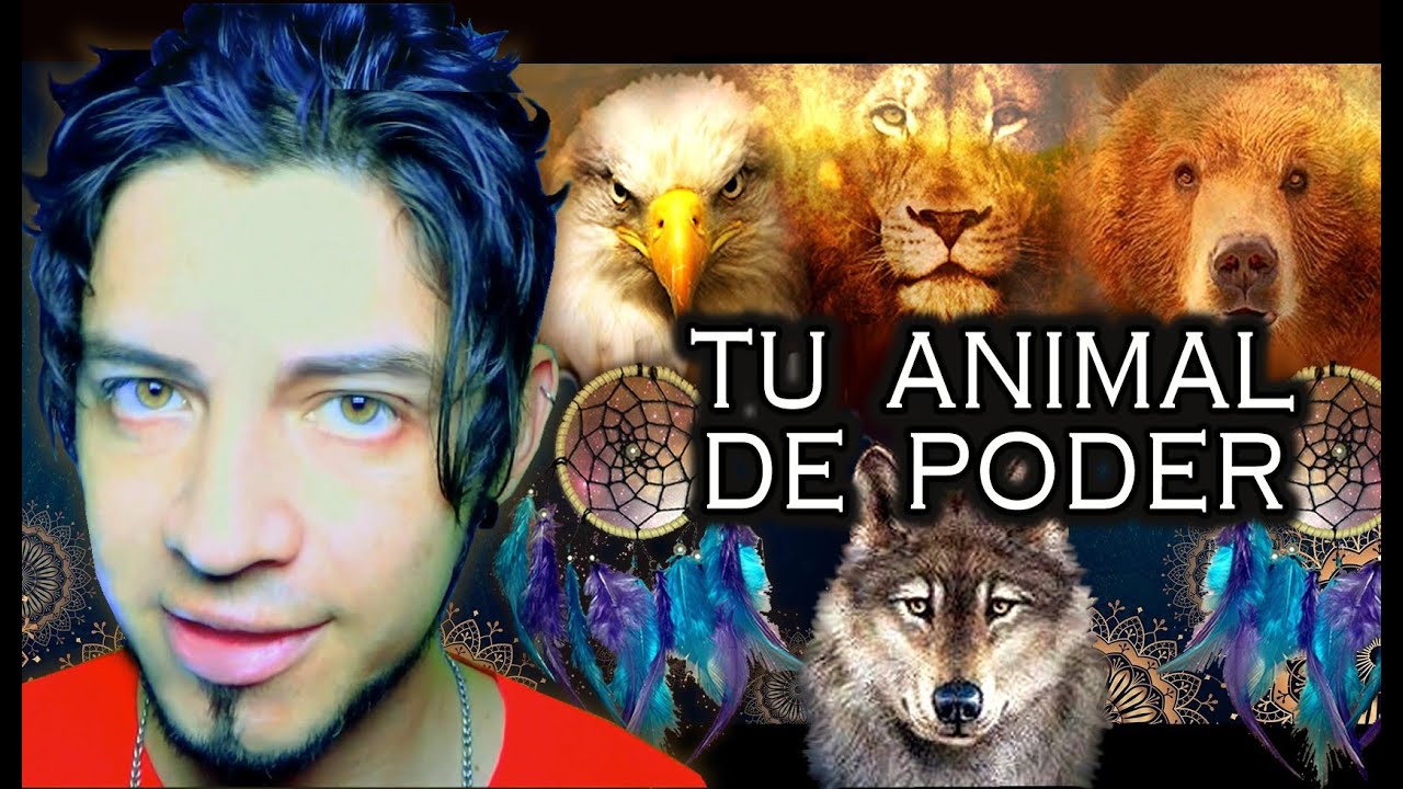 DESCUBRE TU ANIMAL DE PODER 🦁🐺🐻🐰 (Meditación Guiada)