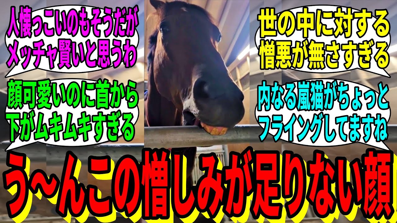 【競馬の反応集】「エバヤンさん、運命に噛みついてしまう」に対する視聴者の反応集