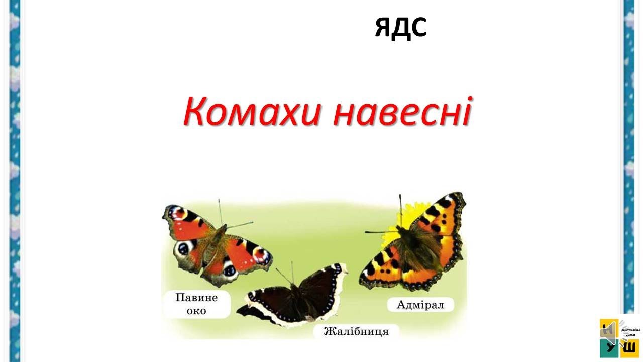 Урок 69 КОМАХИ НАВЕСНІ. Жаркова 2 клас
