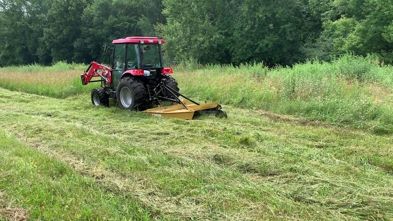 TYM T454 Mowing with a six foot King Kutter