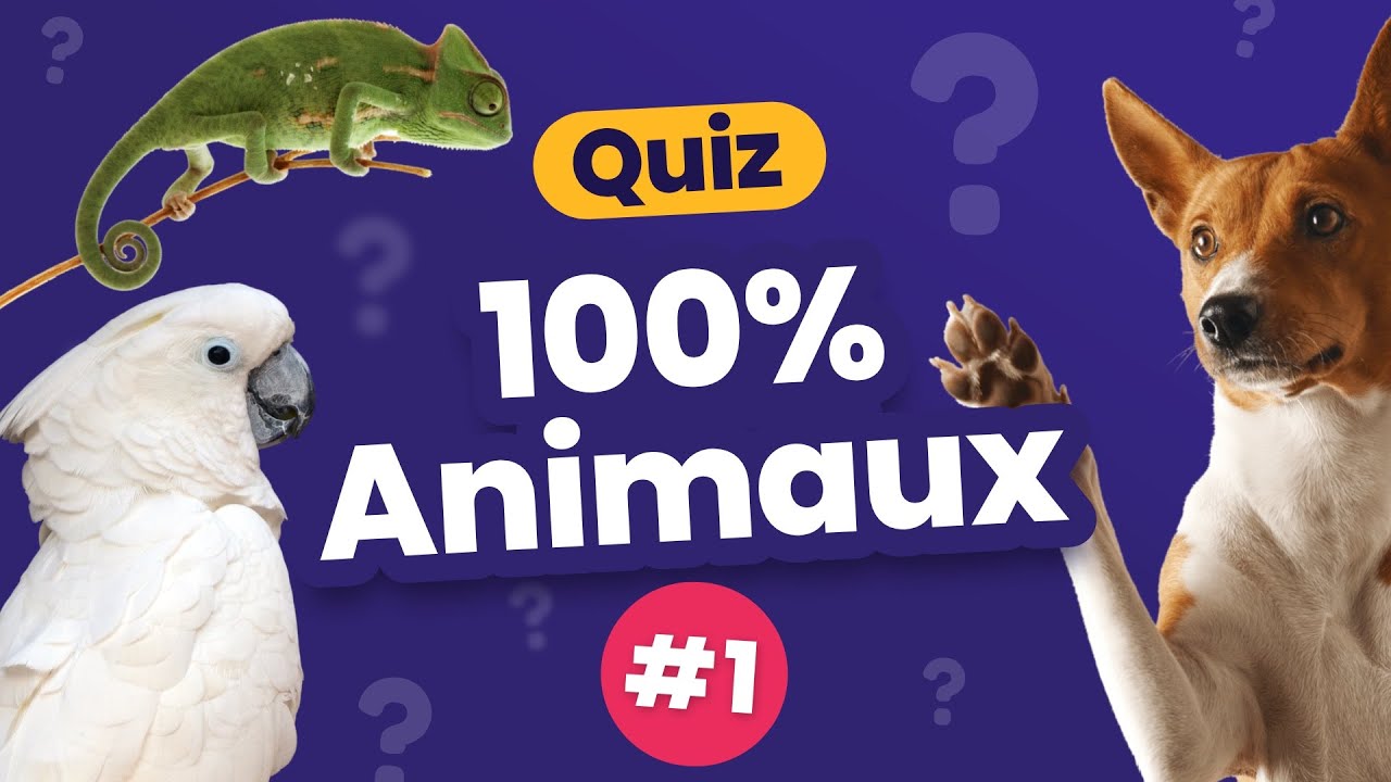 QUIZ 100% Animaux #1 - Culture G&eacute;n&eacute;rale - 24 Questions