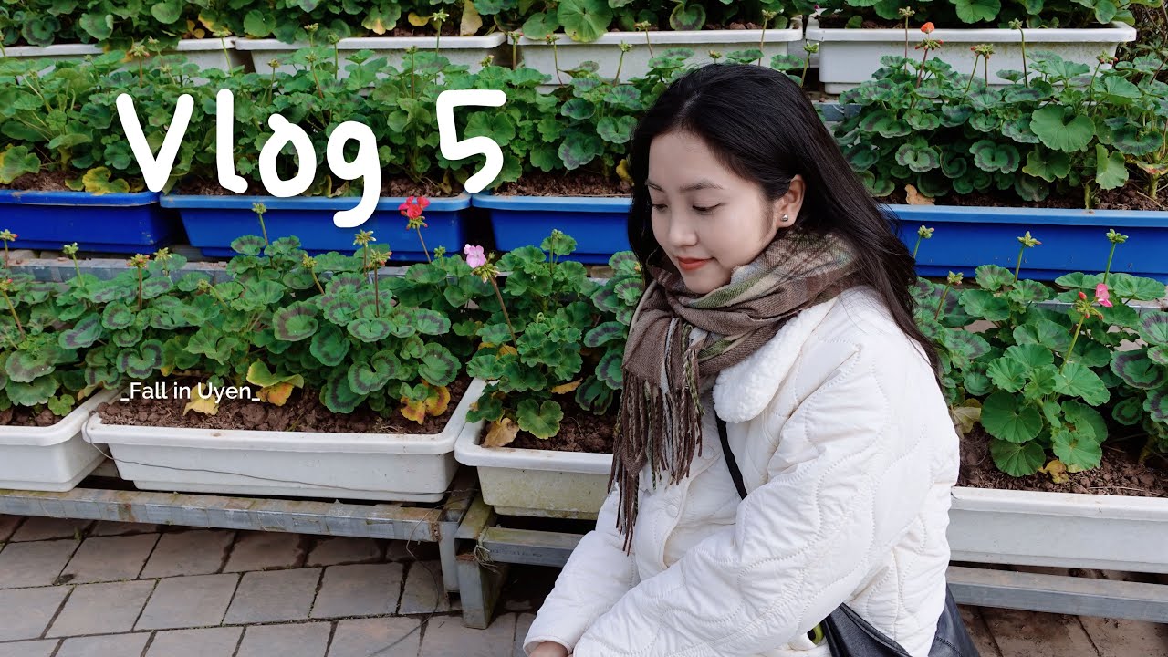 Vlog 5: Chao cìn năm mới 2026!/ Cách “basic” nhất để vượt qua nỗi buồn là gì?