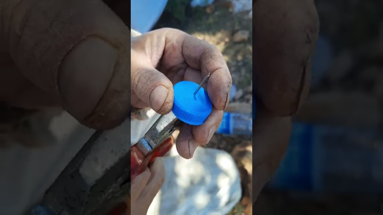 Bal sağımından sonra oksalik asit ile varroa mücadelesi.