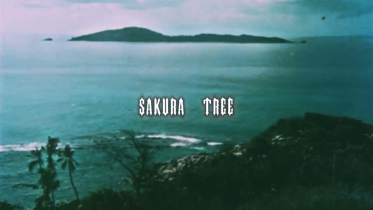 // CHILL SCRIM X $UICIDEBOY$ TYPE BEAT - SAKURA TREE //