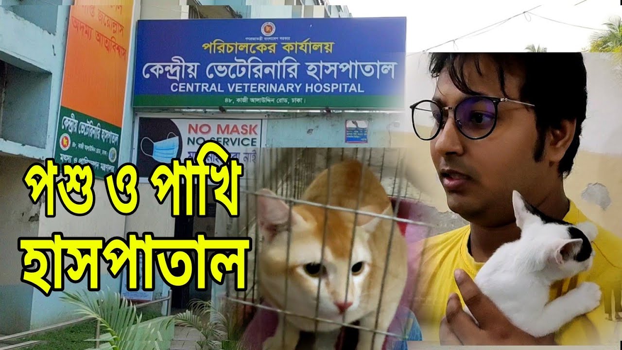 পশু ও পাখির ফ্রী তে চিকিৎসা পাবেন কেন্দ্রয় ভেটেরিনারি হাসপাতালে #rose_pigeon_loft