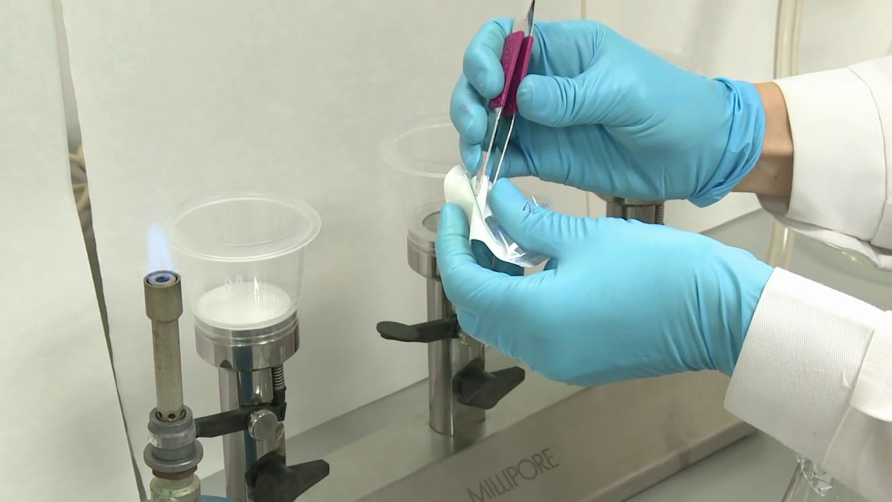Identificación y Recuento de E.coli y bacterias coliformes |  | UPV